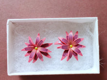 Load image into Gallery viewer, Pink and purple aster flower shaped stud earrings in a white paper jewelry box